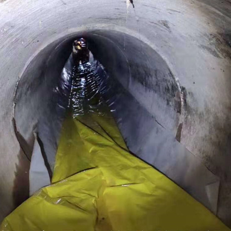 津市管道光固化修复